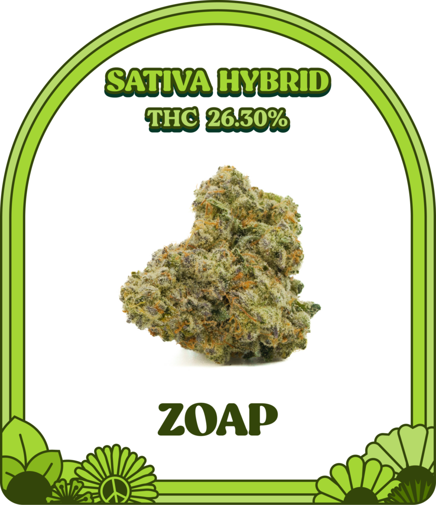 Zoap