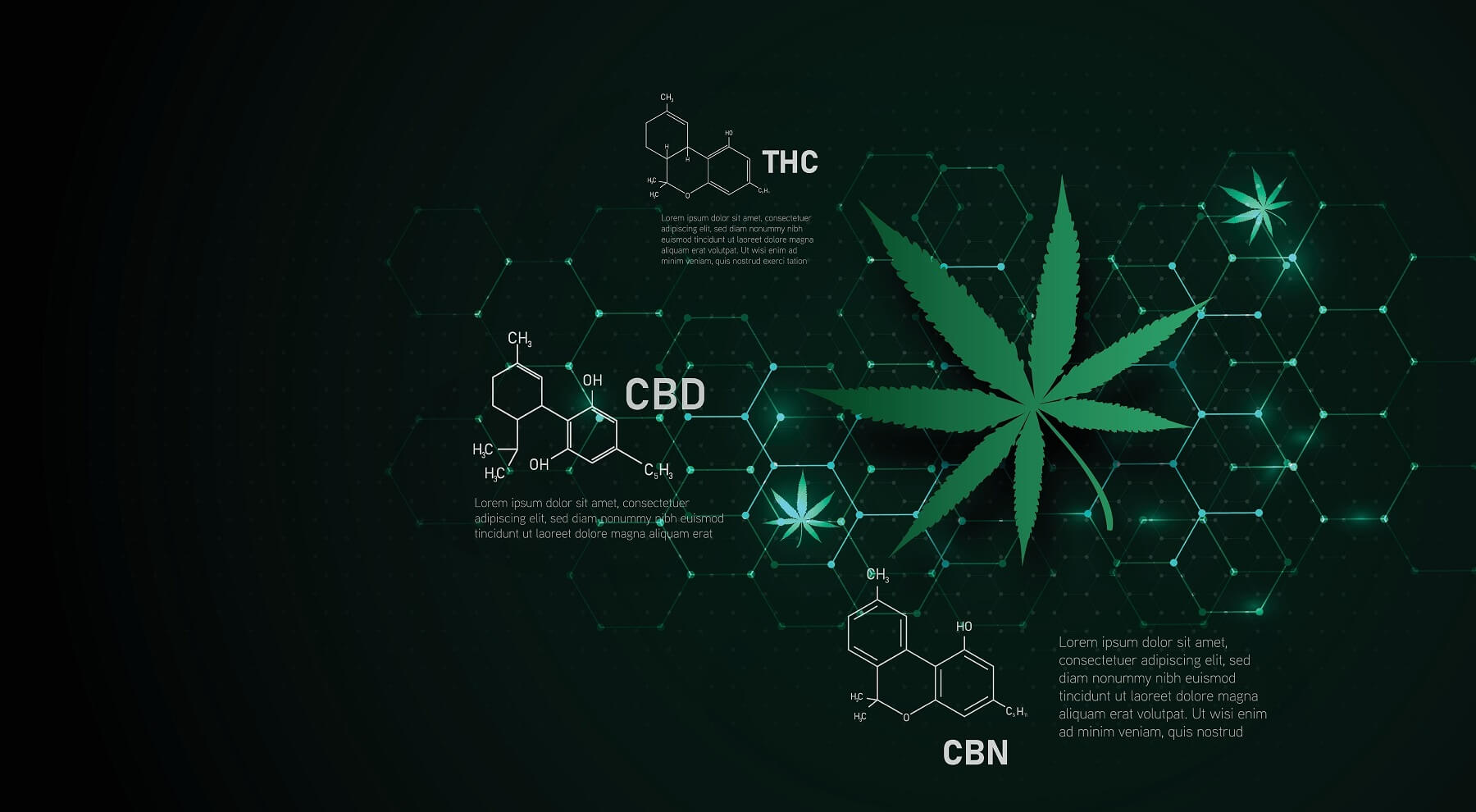 Cannabis Legalization in Asia in 2025