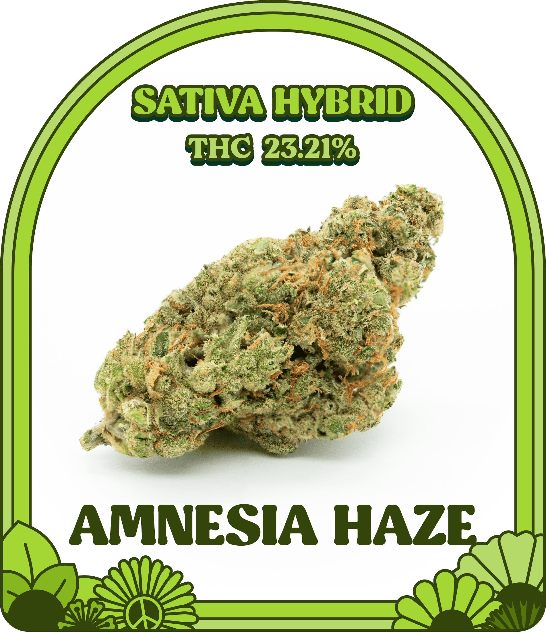 Amnesia Haze Strain