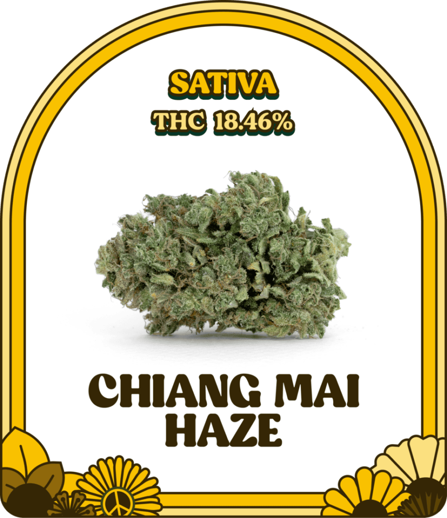 chiang mai haze