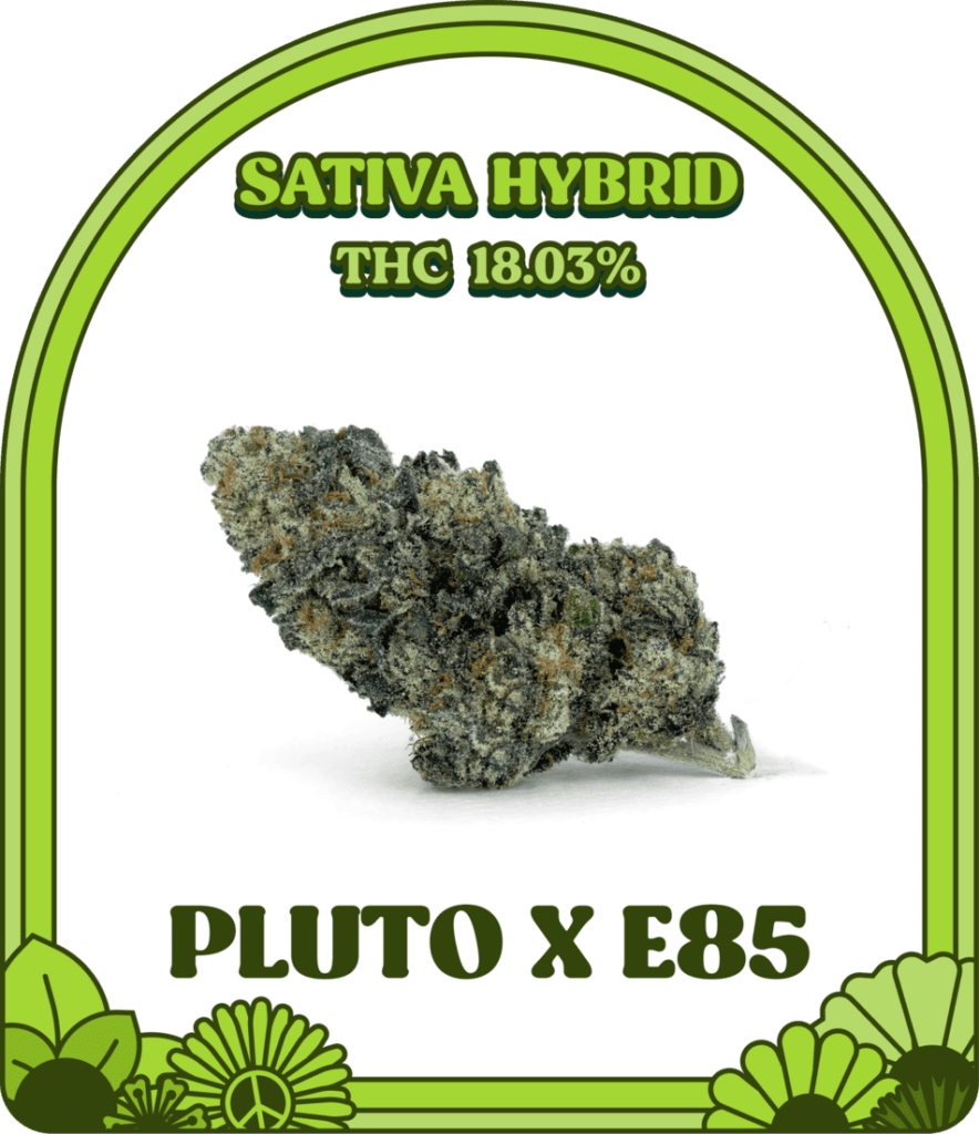 pluto x e85