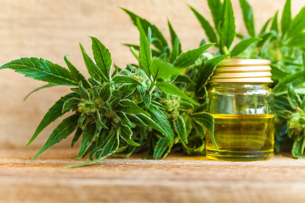 Cannabis Oil For Cancer Treatment
